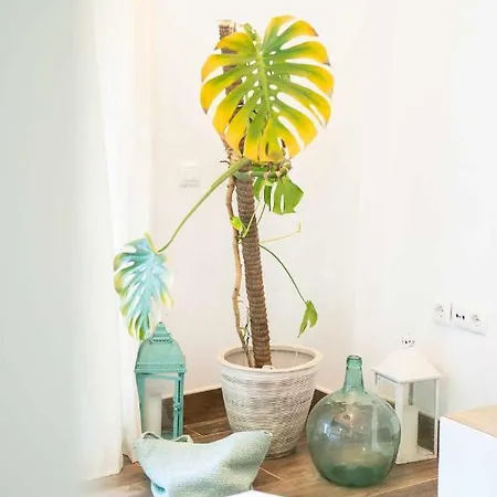 La Brena Duplex *